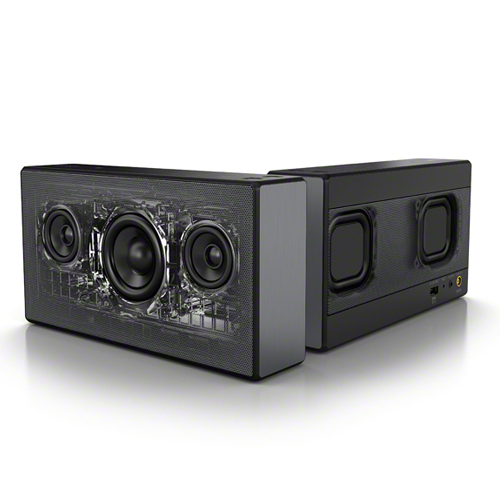 SONY SRS-X55 (정품)_이미지