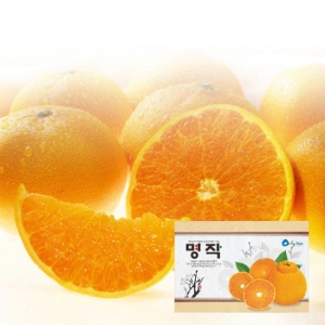 제주낭영농조합 제주 천혜향 26~33과 5kg