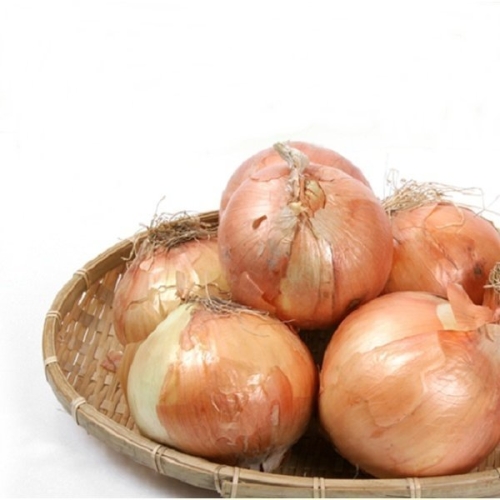 아빠의마음 25년 양파 상 10kg