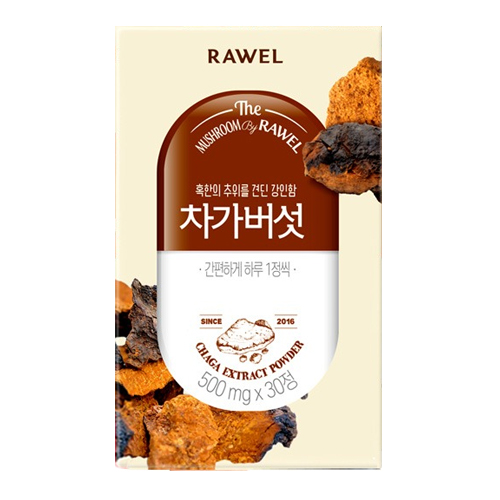 한국생활건강 로엘 차가버섯정 30정 (2개)