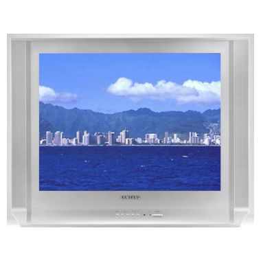 삼성전자 명품플러스 CT-29V10