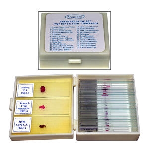 �����Ķ�Ʈ ��� /���̰������ ǥ����Ʈ/JS-46225