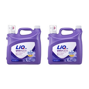 얼룩제거 올인원 겸용 6L