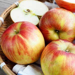 지안농산 경북 홍로 부사 꿀사과 소과 50~60과 10kg (1개)_이미지