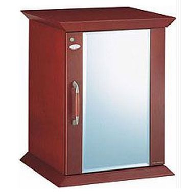 넥스필 에스떼 A200