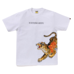  베이프 반팔티 MEN TIGER AND DRAGON TEE 1K70-110-008