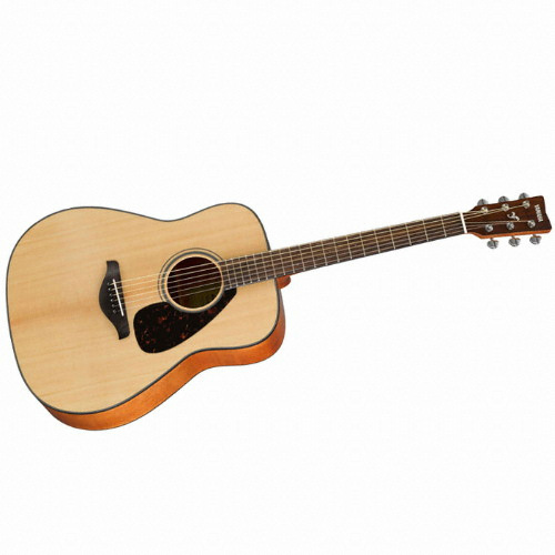 �߸��� FG-800