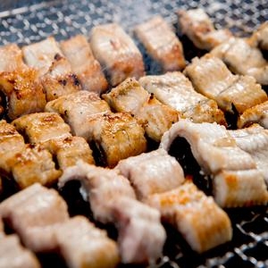 대풍 자포니카 민물장어 1kg 손질후 500~550g [1개]