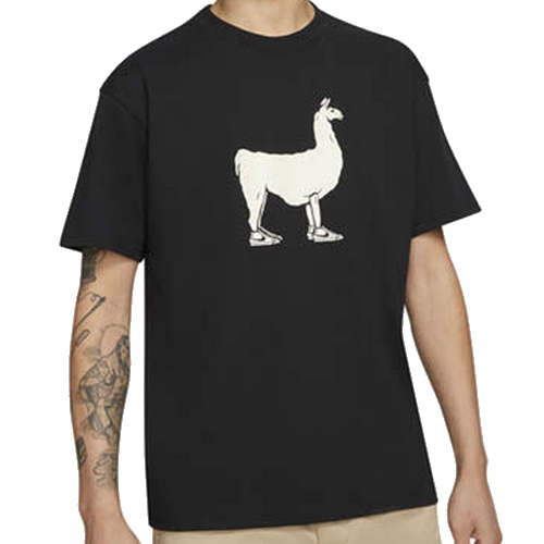 나이키 SB 폴 반팔 티셔츠 DD1299-010_이미지