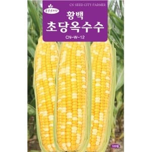 영농사 황백 초당옥수수 씨앗 100립 황백초당옥수수씨앗_이미지