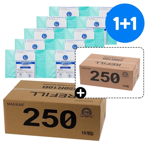 ����ĵ 250 ������ �׸�