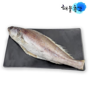 해물총각 민어 제주민어300g 반건조민어 민어탕 구이 생선_이미지
