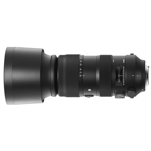 SIGMA S 60-600mm F4.5-6.3 DG OS HSM 니콘 F용 (정품)_이미지