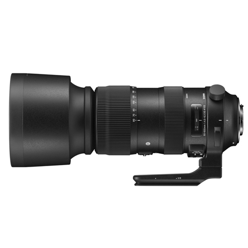 SIGMA S 60-600mm F4.5-6.3 DG OS HSM 니콘 F용 (정품)_이미지