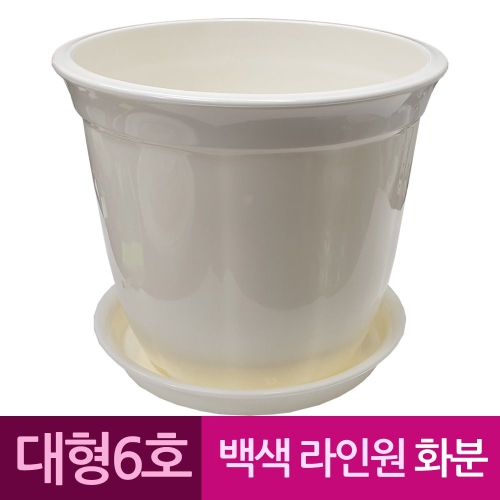 성신피엔씨 정사각 백색 도자기느낌 플라스틱화분 6호_이미지