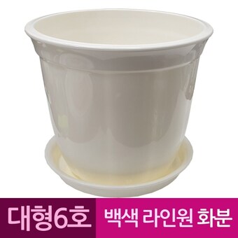 성신피엔씨 정사각 백색 도자기느낌 플라스틱화분 6호