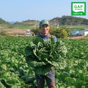 농부들의수확 해남 김장 절임배추 20kg