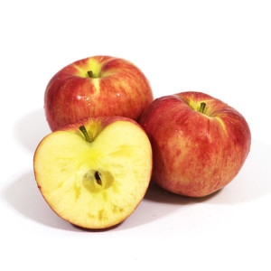 ��ħ�̽���� �������� ������ �˶� ȫ�λ�� 9kg �Ұ� 40-70 12�긯�� �̻�