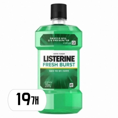 존슨앤존슨 리스테린 후레쉬 버스트 250ml (19개)