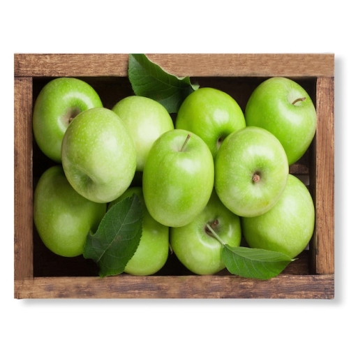 ���ܴ�ȭ�� ĵ�������� 48.�ƿ������ �ڽ� 26x21cm