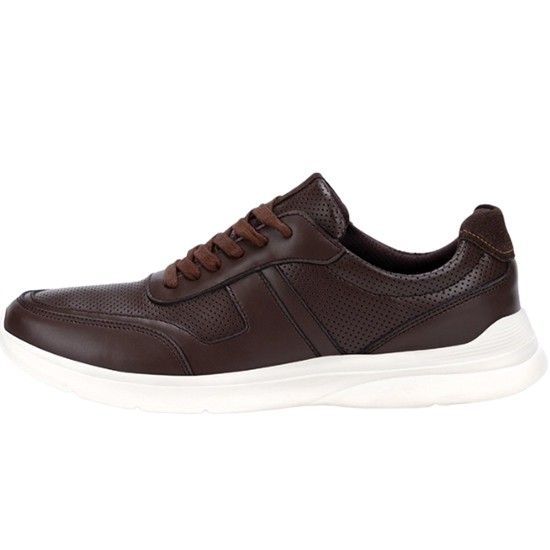 컴포지오 (브라운)