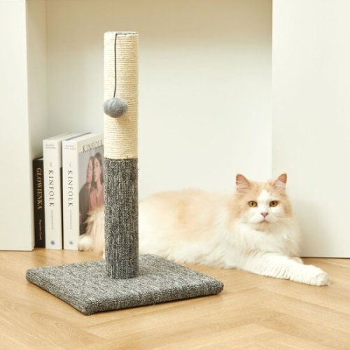 세토리 펫토리아 GP 방울 장난감 스탠드 고양이 스크래쳐 그레이이미지입니다. 누르면 해당 게시물로 새창이동합니다.