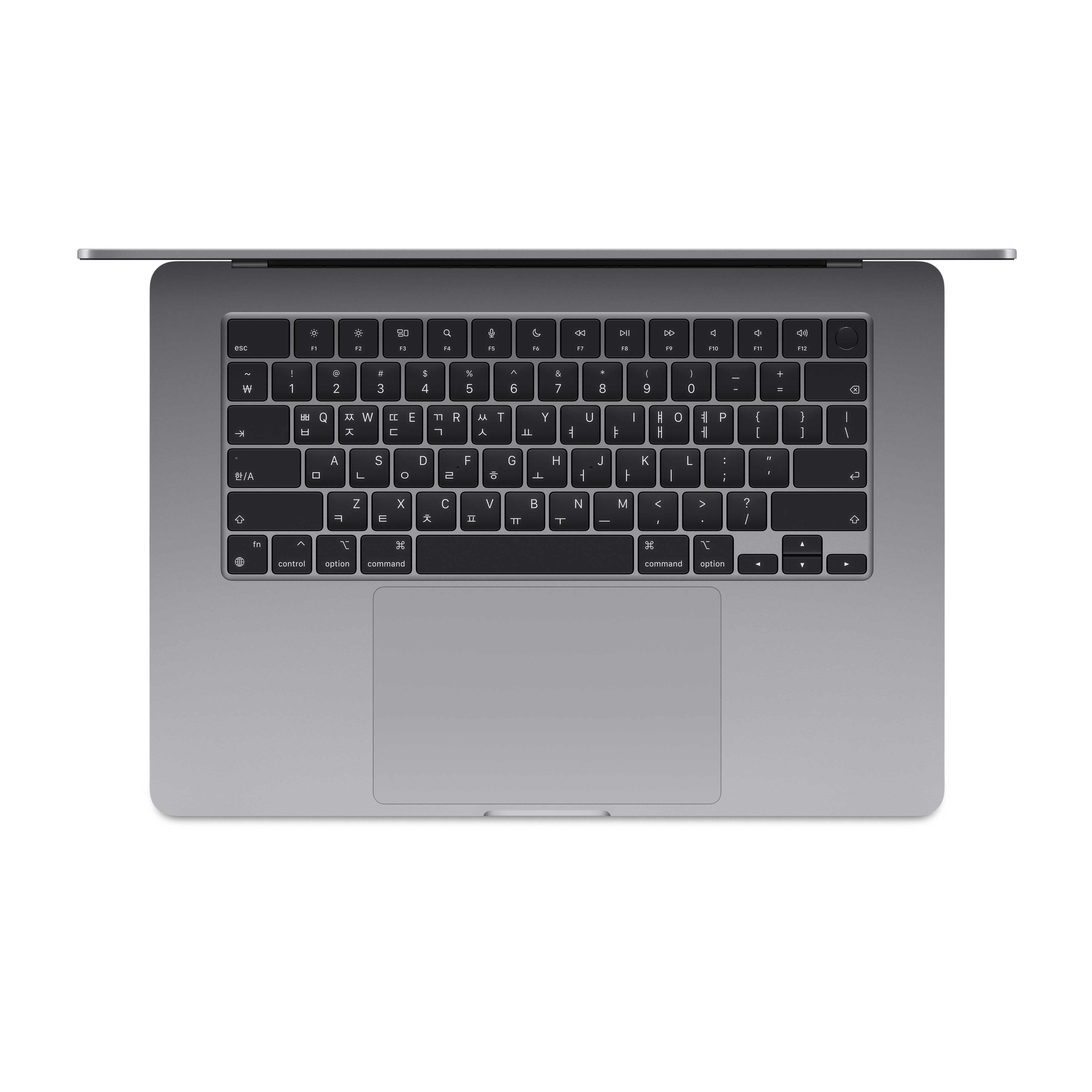 APPLE �ƺϿ���15 M2 8�ھ� CPU, 10�ھ� GPU �׷���