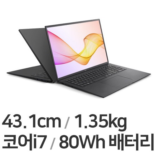 LG전자 2021 그램17 17ZD90P-GX7BK (SSD 256GB)