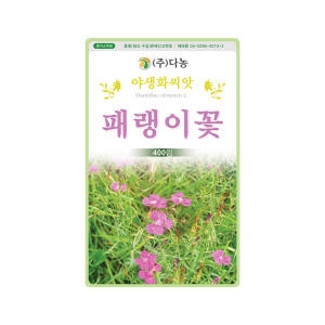 다농 패랭이꽃씨앗 400립