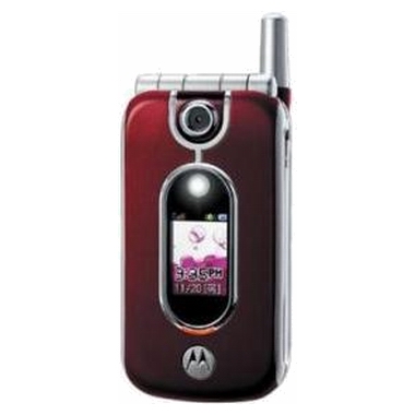����ζ� MOTOROLA MS250 [SKT]