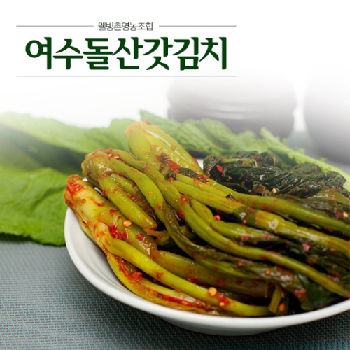웰빙촌 여수 돌산 갓김치 4kg [1개]