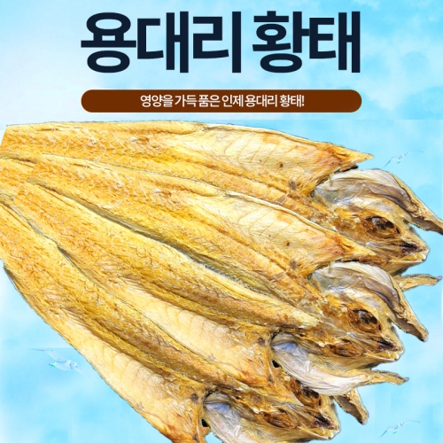 강원도 인제   황태 5미  43cm 내외