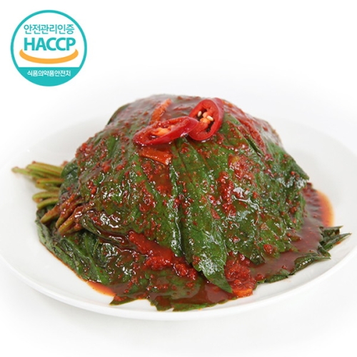 웰굿 HACCP인증 전라도 국내산 파김치 5kg