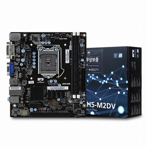 H310CH5-M2DV 코잇