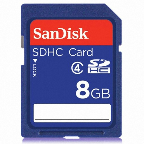 Sandisk SD 2010 (8GB)_이미지