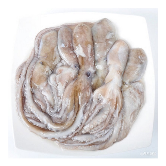 Ǫ�帶�� Ȱ���� 850g