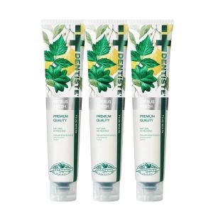 덴티스테 시트러스 후레쉬 치약 200g (3개)_이미지