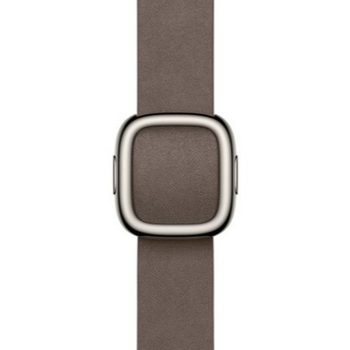 APPLE 워치 모던 버클 L (다크토프)