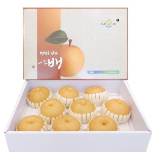  나주배 특품 신고배 선물용 제수용 5kg 8-10과 선물세트