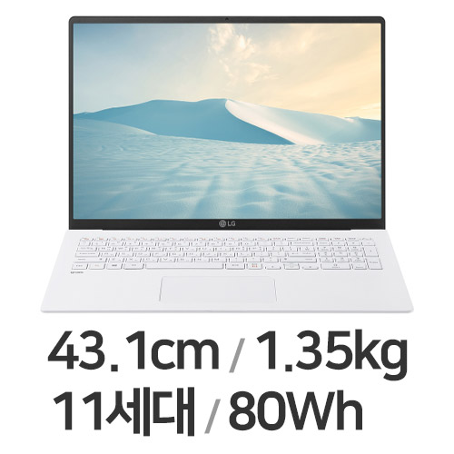 LG전자 2021 그램17 17ZD95N-GX56K WIN11