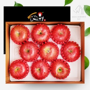 웰굿 경북 정성담은 명풍 사과선물세트 9과내 3kg (1개)_이미지