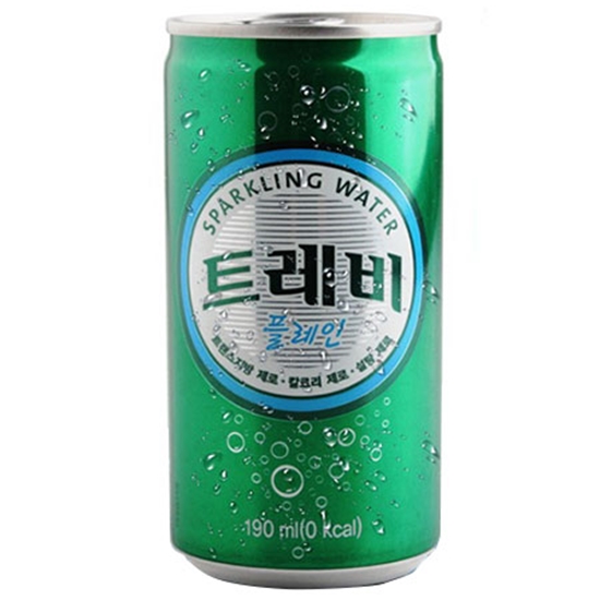 롯데칠성음료 트레비 플레인 190ml (2개)