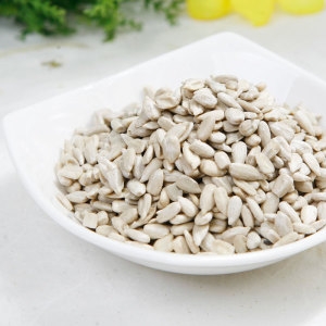 디에이푸드마켓 불가리아 해바라기씨 10kg