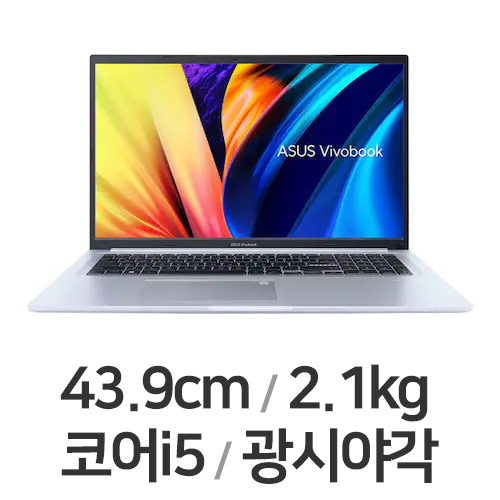 ASUS 비보북 17 X1702ZA-AU010 (SSD 256GB)