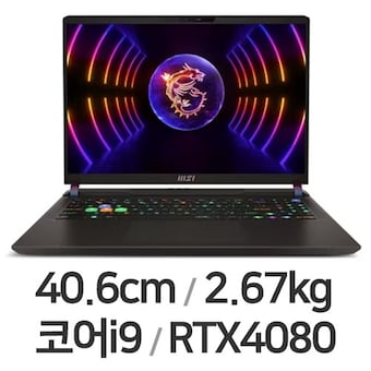 MSI GP시리즈 Vector GP68 HX 12VH-i9 QHD WIN11 32GB램