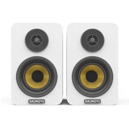 SAUNGYU BK3020A [1통, 해외구매]