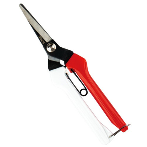 수미오 적과가위 C2754_이미지