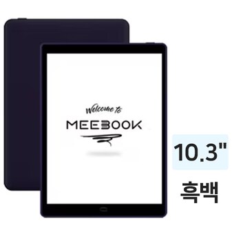 BOYUE MEEBOOK P10 프로 해외구매