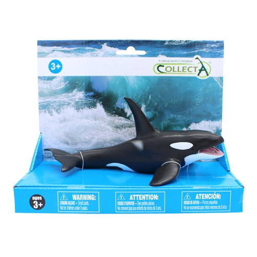 �÷�Ÿ �Թݿ��� ������