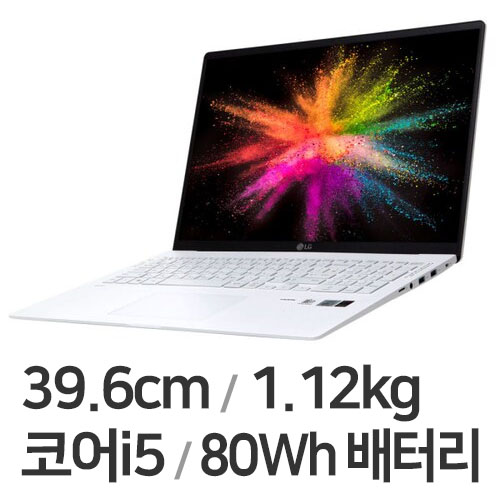 LG전자 2021 그램15 15ZB95N-GP50ML (SSD 256GB)_이미지